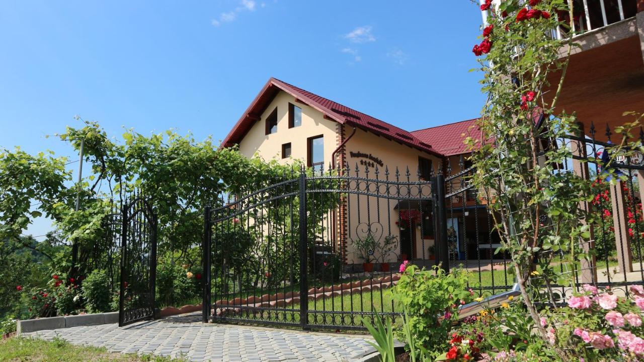 Pensiunea Luminita Mustatesti Exterior photo