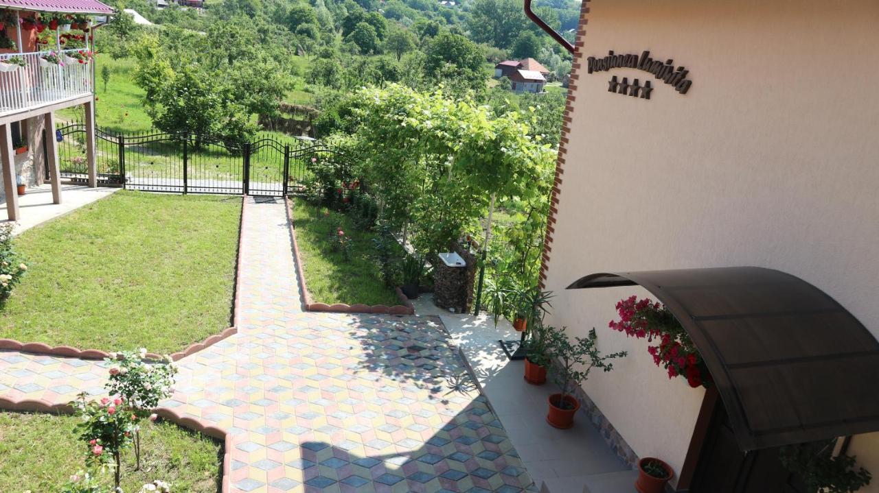 Pensiunea Luminita Mustatesti Exterior photo