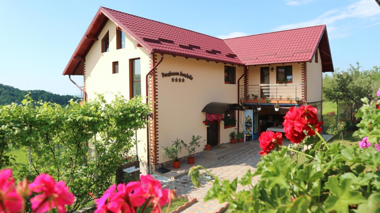 Pensiunea Luminita Mustatesti Exterior photo