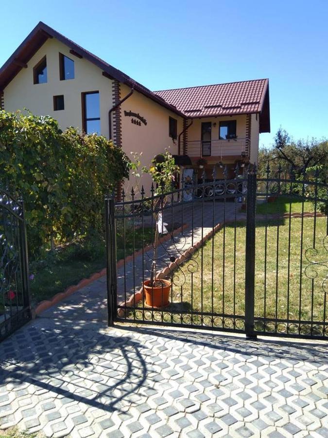 Pensiunea Luminita Mustatesti Exterior photo