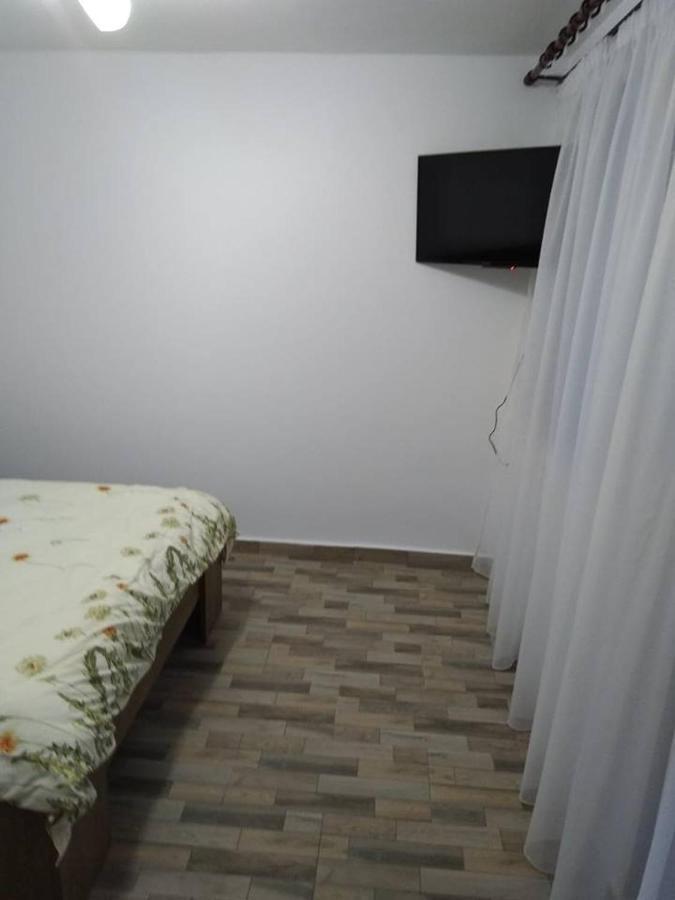 Pensiunea Luminita Mustatesti Exterior photo