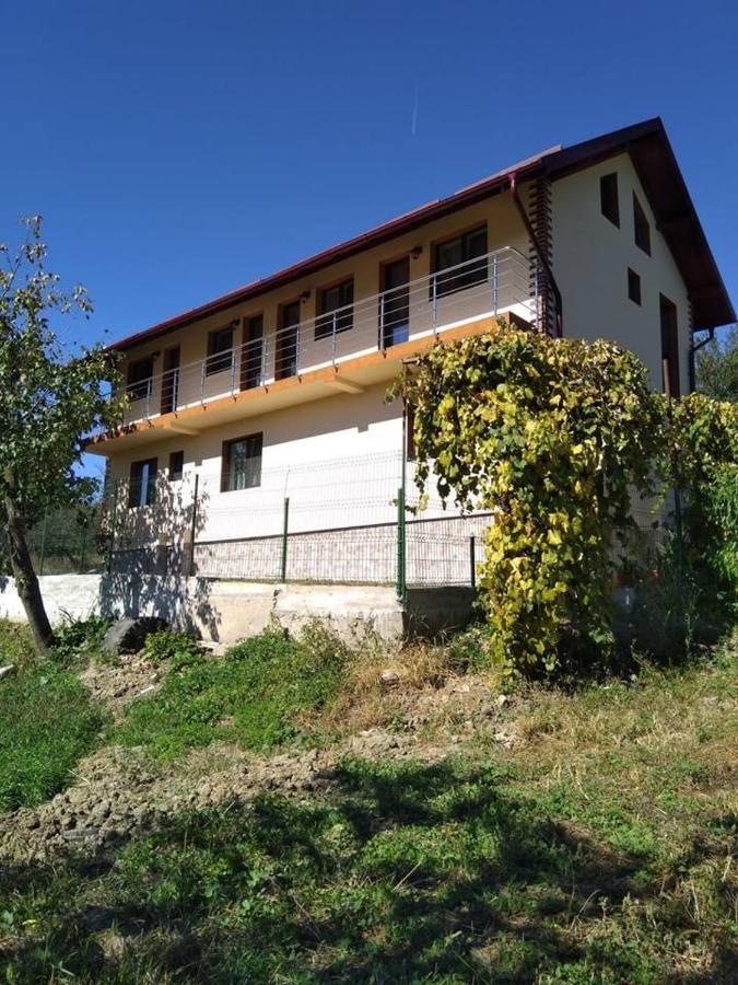 Pensiunea Luminita Mustatesti Exterior photo